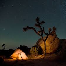 Maybe you would like to learn more about one of these? Campgrounds Joshua Tree National Park U S National Park Service