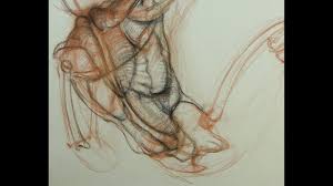 Rey is passionate about anatomy and his love for the subject matter is infectious to all artists who study with him. Anatomy For Artists The Torso Active Diagram The Back Youtube