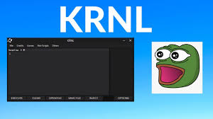 Undetected for over a year. How To Download New Update For Krnl Youtube