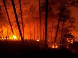 News of india with latest updated news from uttarakhand state of india |. Uttarakhand Forest Fire Latest News Videos Photos About Uttarakhand Forest Fire The Economic Times Page 1