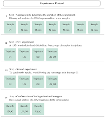 De-Epithelization of the Human Amniotic Membrane Using a System Involving  Ozonated Water and Ultrasound