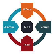 The total, essential, or particular being of a person; Self Concept Wikipedia
