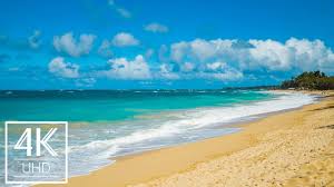 Customize your desktop, mobile phone and tablet with our wide variety of cool and interesting 4k wallpapers in just a few clicks! Tropical Nature Wallpapers Slideshow For 4k Tv Amazing Beauty Of Hawaiian Nature Without Music Youtube