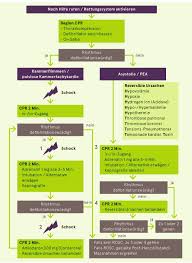 Acls algorithms are arguably the most crucial part of understanding the many advanced cardiac life saving procedures and are essential for passing the acls exam. Reanimation Kardiovaskulares Manual 2019 Aktuelle Version
