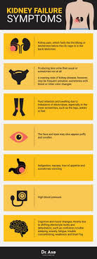 Pin On Adrenal Support