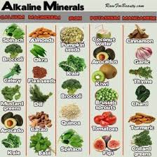 Alkaline Diet And Cancer Cancer Cell Cannot Live In An Alkaline Enviornment Alkaline Diet Alkaline Foods Health