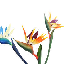 家居饰品天堂鸟仿真花鹤望兰落地假花样板房装饰花客厅摆设花卉 plants