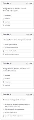 Mar 24, 2021 · you'll find the correct answer below. Question 1 0 25 Pts During Which Phase Of Mitosis Are Chegg Com
