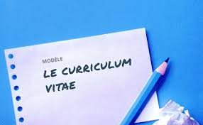 Ce cv est très audacieux de prime abord. Telecharger Le Curriculum Vitae Jobscout24