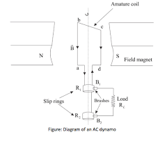 The coil of an a.c. Draw A Neat Diagram Of Ac Dynamo And Label The Par Class 12 Physics Cbse