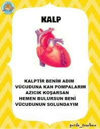 Sinif Panosu Icin Okul Okul Oncesi Egitim