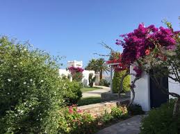 Последние твиты от yria resort paros (@yriaresort). Yria Boutique Hotel Spa Bild Von Yria Island Boutique Hotel Spa Paros Tripadvisor