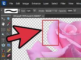 How To Remove Background With Photoshop Elements Photoshop Elements Tutorials Photoshop Elements Photoshop