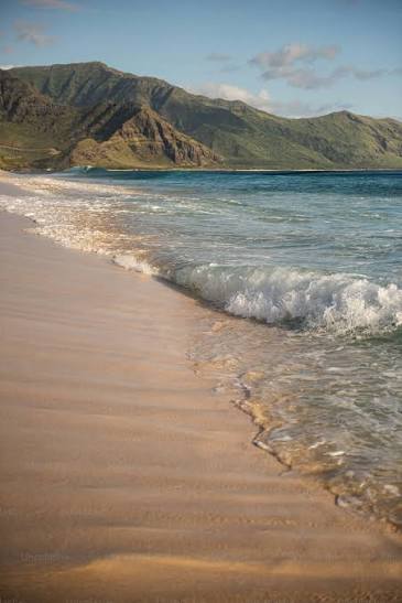 Beach Scenery Pictures | Download Free Images on Unsplash