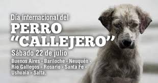 Esta efeméride se estableció en 2008 y busca recordar el gran número de perros que vagan por las calles en busca de alimento, cobijo y afecto. Ushuaia Marchara Por El Dia Del Perro Callejero Notitdf Noticias De Ushuaia Tierra Del Fuego Argentina