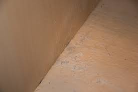 mold under sink? (leasing, tenants