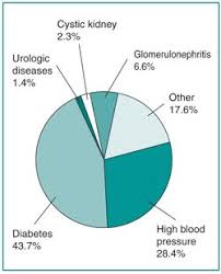 A Pie Chart Listing The Causes Of Kidney Failure In The