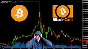 As a result, a growing number of industry experts agree that btc is better than cash. Bitcoin Cash Vs Bitcoin Which One Is Better For Investment