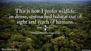 Untouched Human Nature Quotes Nature Quotes Human Nature