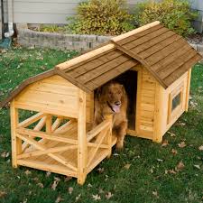 Maybe you would like to learn more about one of these? 15 Best Fancy Dog Houses Cool Luxury Dog Houses To Buy