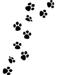 Cat Paw Prints Are Extremely Easy To Draw Puppy Paw Prints Cat Paw Print Dog Paw Print