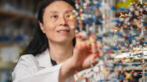 Indiana public universities report fall enrollment gains • Indiana Capital  Chronicle