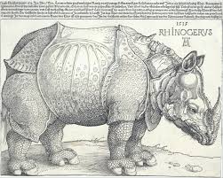 298,756 likes · 15,291 talking about this. Albrecht Durer The Rhinoceros The Metropolitan Museum Of Art