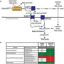 Cpt2 List Of Frontiers Open Access Articles