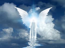 The song engel is about not wanting to aim at perfection all the time because oftentimes something that seems perfect and pleasurable is in fact delusive. Warum Haben Engel Flugel