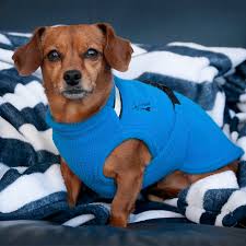 Chilly Dogs Fleece Sweater