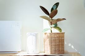 Best bedroom air purifier for mold. Do Air Purifiers Work An Expert Explains If Air Purifiers Really Help With Allergies