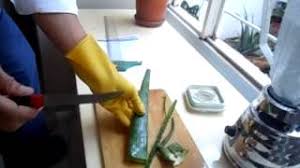 Esta receta está hecha para los que dicen no tener tiempo de cocinar, los que compran cocina precocinada por lo práctico que resulta, incluso a sabiendas d. Como Hacer Zumo De Aloe Vera Casero