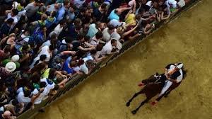 Porto alabe ha vinto due volte il palio di siena, sempre in agosto in occasione del palio dell'assunta. Palio Di Siena Assegnati I Cavalli Esulta La Lupa La Repubblica