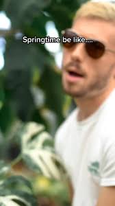 Springtime be like... 🌿🪴🌿 You can Pre-Save my new song "Nursery Rhymes" 