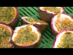 Tuteurage Et Elagage Du Fruit De La Passion Resume Youtube
