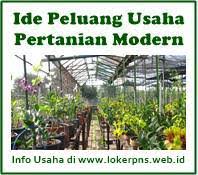 Check spelling or type a new query. 13 Ide Peluang Usaha Pertanian Modern Yang Menguntungkan Kerja Dan Usaha 2021 2022