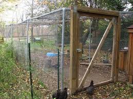 Maybe you would like to learn more about one of these? Making A Duck Enclosure On A Budget Backyard Chickens Learn How To Raise Chickens