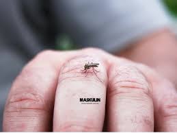 Check spelling or type a new query. Lima Jenis Orang Yang Disukai Nyamuk Maskulin