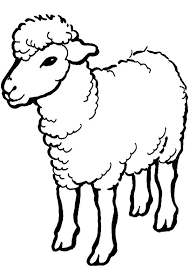 Ausmalbilder Schaf 27 Ausmalbilder Tiere Schaf Zeichnen Ausmalbilder Tiere Schafe Cartoon