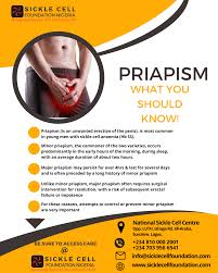 Image result for Priapism
