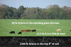 To break the surface of the skin by rubbing against something rough: Nutrient Cycling In Grazed Pastures Sciencedirect