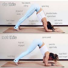 Pin By Larak On Yoga En Bodyfit Basic Yoga Yoga Poses Dolphin Pose