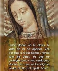 Solos nunca nos dejes, Madre