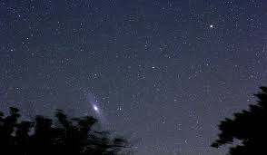 Andromeda Above The Trees The Andromeda Galaxy M31 As Se Flickr