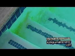 24 How To Get Rid Of Yellow Mustard Algae In Swimming Pools And Spas Youtube Mustard Algae Swimming Pools Spa Pool