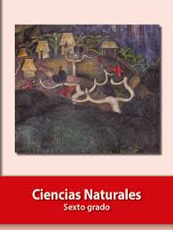 Libro de sexto de ciencias naturales 5 grado es uno de los libros de ccc revisados aquí. Ciencias Naturales Libro De Primaria Grado 6 Comision Nacional De Libros De Texto Gratuitos