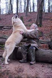 Maybe you would like to learn more about one of these? 110 People With Wolves Ideas Wolf Art Wolf Werewolf