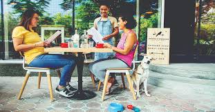 Search for city, region, or zipcode. Ruff Guide 17 Pet Friendly Cafes And Restaurants In Dubai