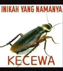 We did not find results for: Kecewa Home Facebook
