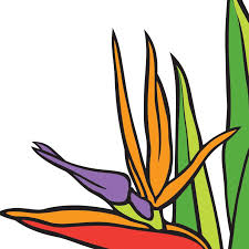 We specialize in custom designs such as: Monji Landscape Companies Home Facebook